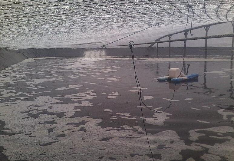 魚塘修建土工膜和混凝土哪種方法更可靠?